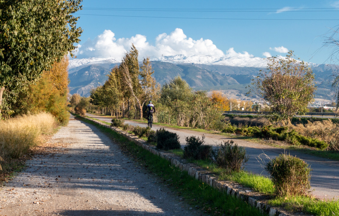 For Sale - Fincas y solares - Granada - Pago de Marachatalan Granada