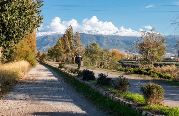 For Sale - Fincas y solares - Granada - Pago de Marachatalan Granada