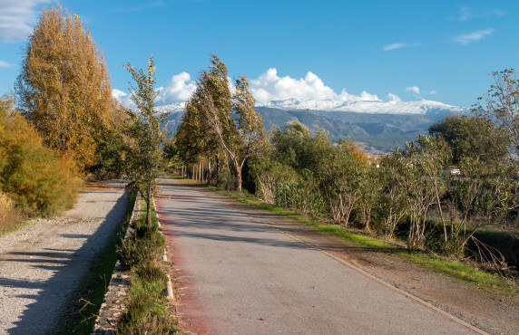 For Sale - Fincas y solares - Granada - Pago de Marachatalan Granada