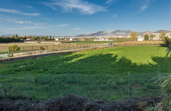 For Sale - Fincas y solares - Granada - Pago de Marachatalan Granada