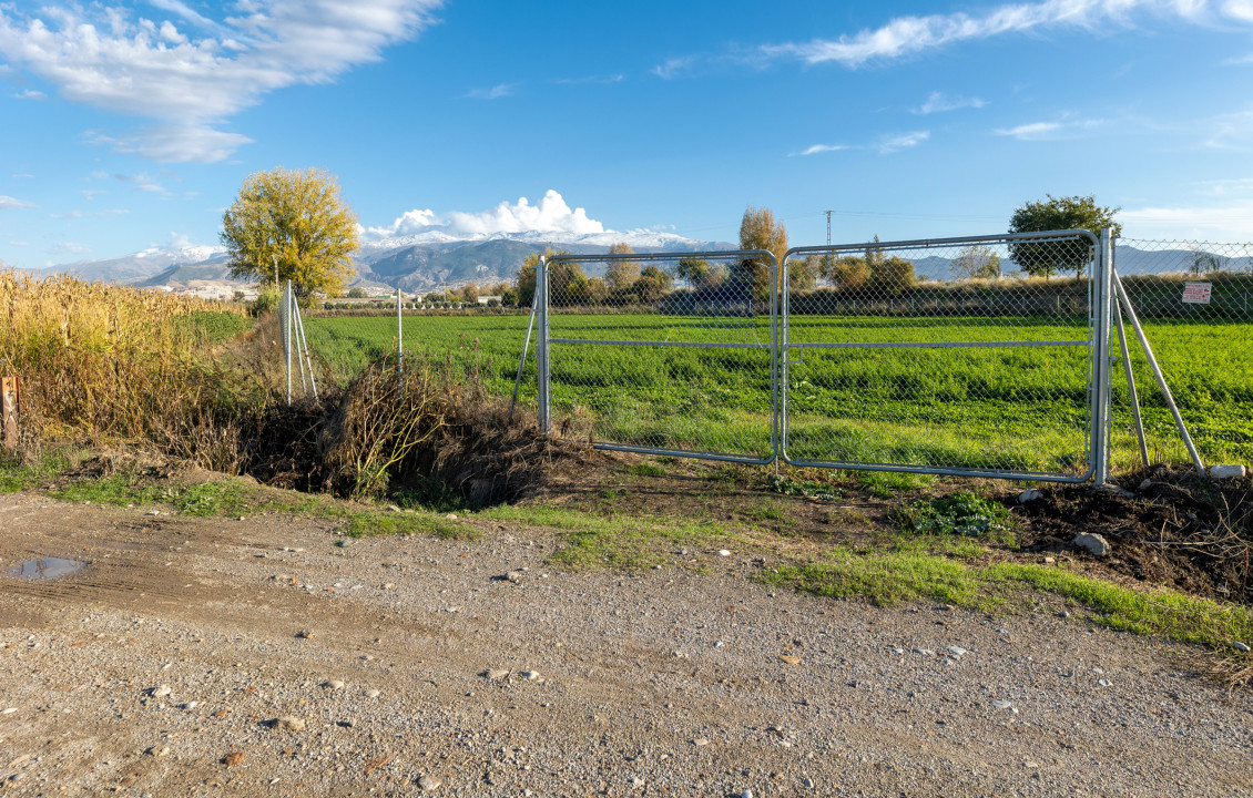 For Sale - Fincas y solares - Granada - Pago de Marachatalan Granada