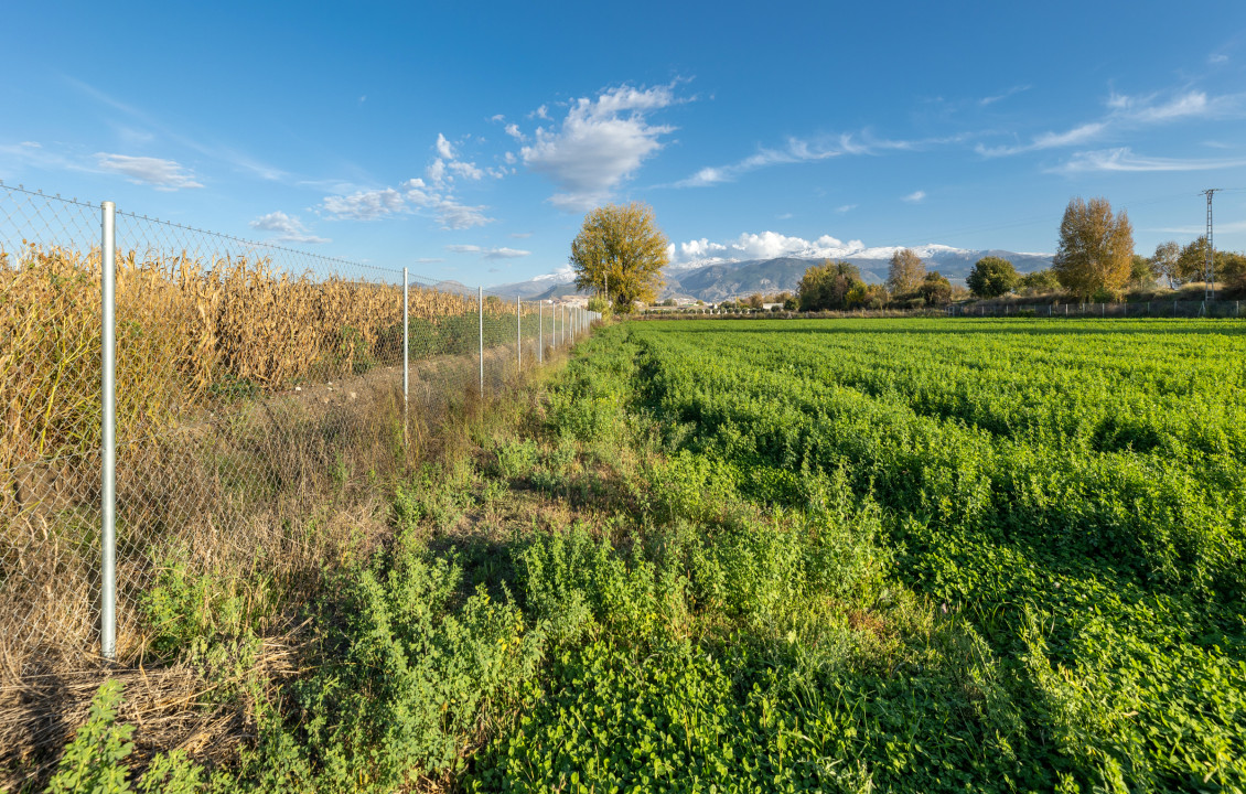 For Sale - Fincas y solares - Granada - Pago de Marachatalan Granada