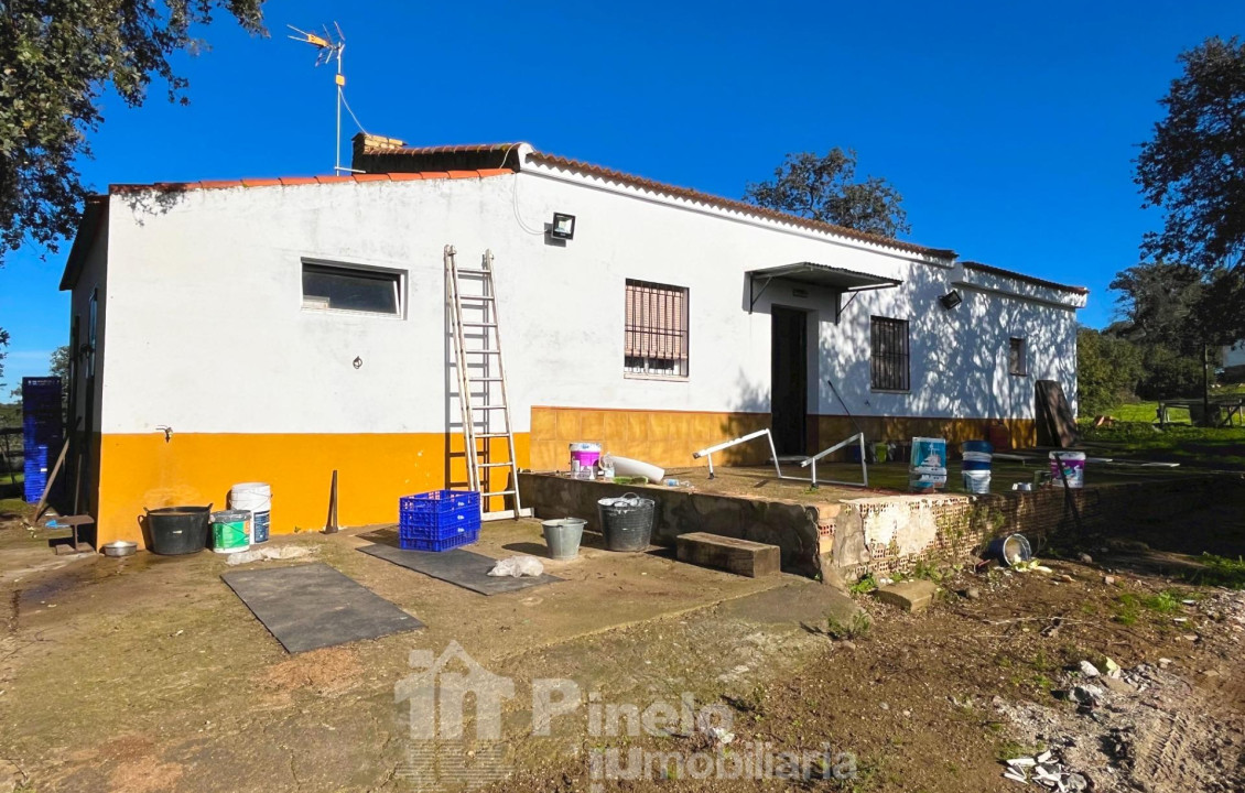 For Sale - Fincas y solares - Castilblanco de los Arroyos - Polígono 20 Parcela 50