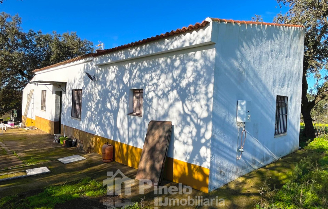 For Sale - Fincas y solares - Castilblanco de los Arroyos - Polígono 20 Parcela 50