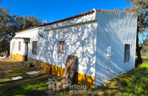 For Sale - Fincas y solares - Castilblanco de los Arroyos - Polígono 20 Parcela 50