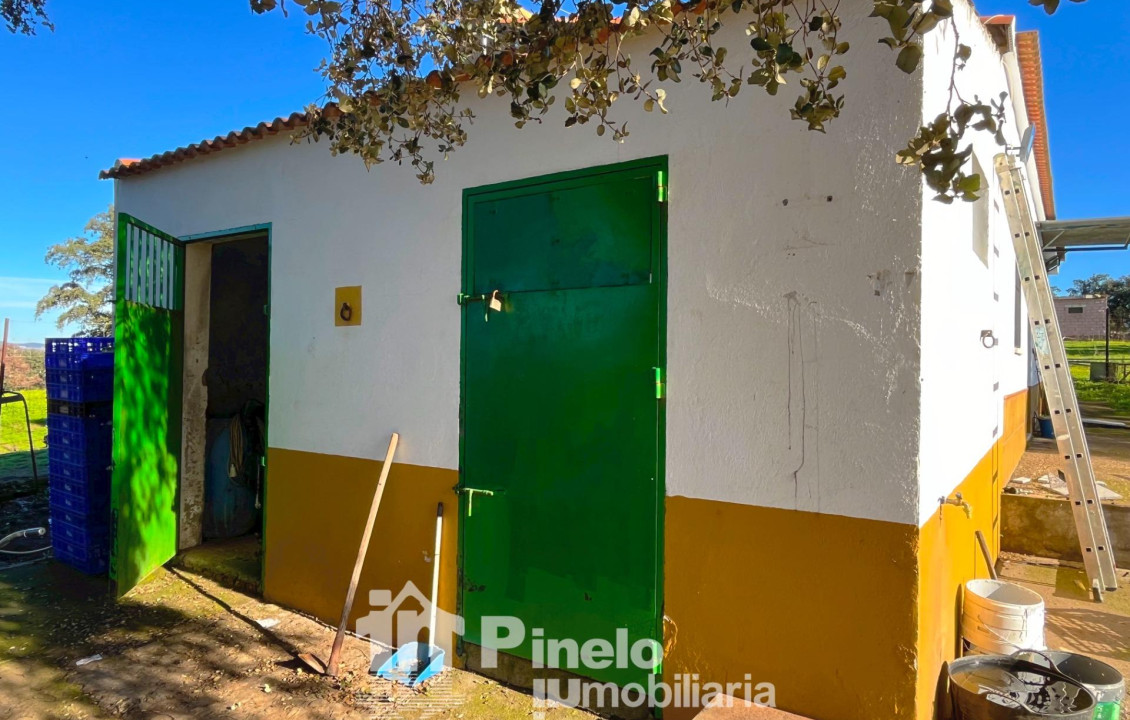 For Sale - Fincas y solares - Castilblanco de los Arroyos - Polígono 20 Parcela 50