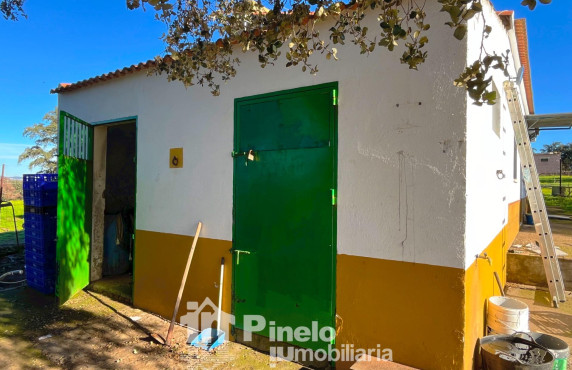 For Sale - Fincas y solares - Castilblanco de los Arroyos - Polígono 20 Parcela 50