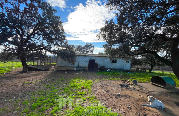 For Sale - Fincas y solares - Castilblanco de los Arroyos - Polígono 20 Parcela 50