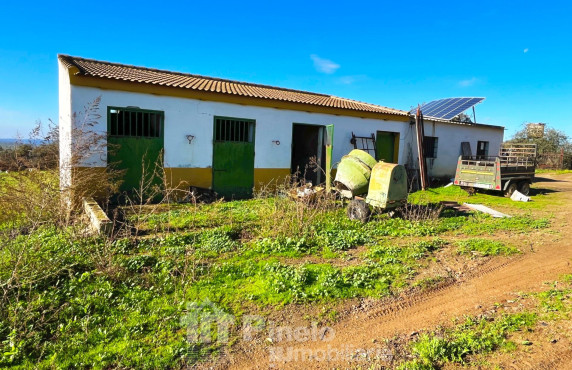 For Sale - Fincas y solares - Castilblanco de los Arroyos - Polígono 20 Parcela 50