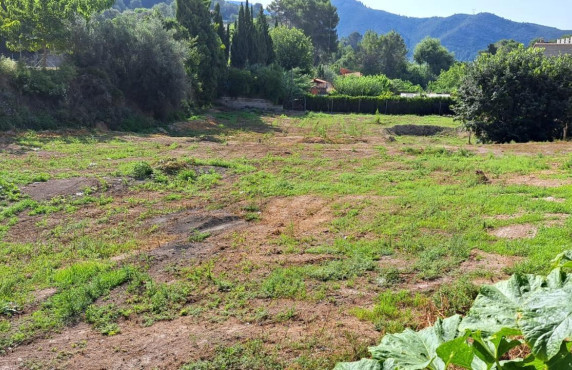 For Sale - Fincas y solares - Xàtiva - Alboy