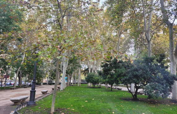 For Sale - Pisos - Madrid - PRADO