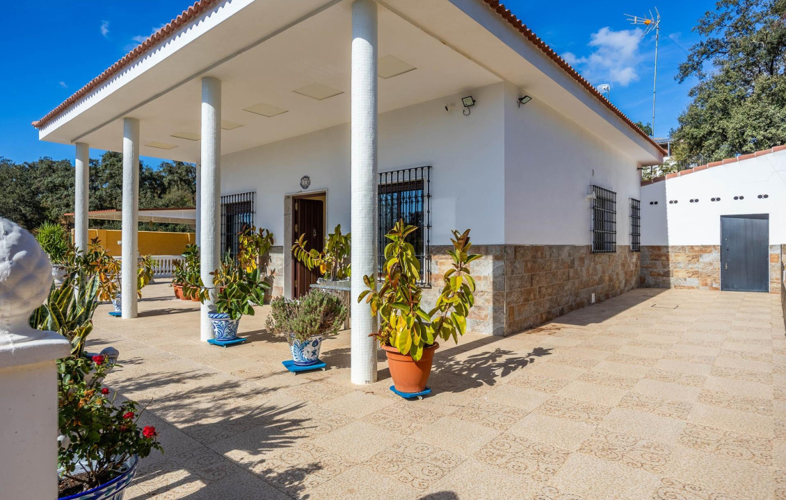 Venta - Casas o chalets - Guillena - de Ginés