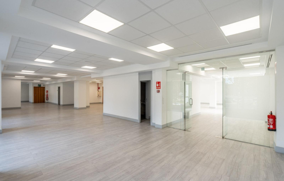 Long Rental Period - Oficinas - Madrid - CASTELLANA