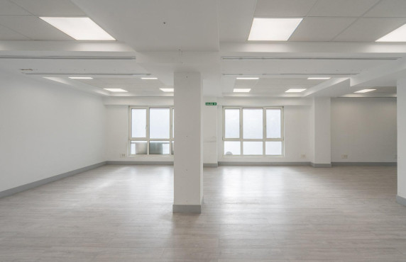 Long Rental Period - Oficinas - Madrid - CASTELLANA