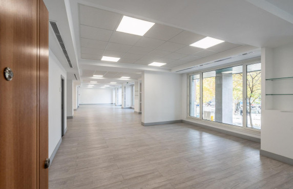 Long Rental Period - Oficinas - Madrid - CASTELLANA