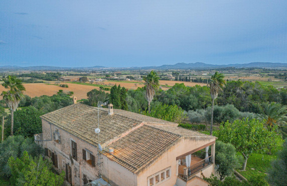 For Sale - Fincas y solares - Vilafranca de Bonany - CDTE CUARTO