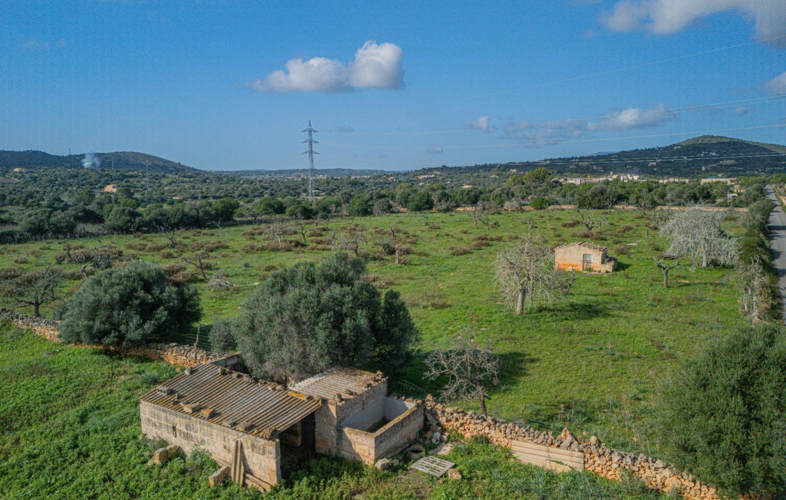 For Sale - Fincas y solares - Sant Llorenç des Cardassar - Polígono 2 Parcela 32 TORRENOVA. SANT LLORENÇ DE