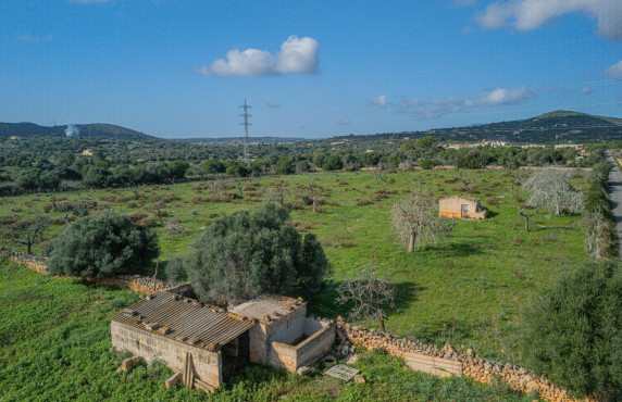 For Sale - Fincas y solares - Sant Llorenç des Cardassar - Polígono 2 Parcela 32 TORRENOVA. SANT LLORENÇ DE