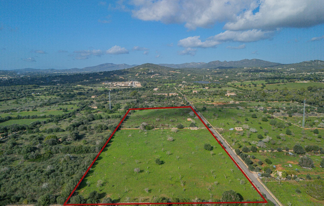 For Sale - Fincas y solares - Sant Llorenç des Cardassar - Polígono 2 Parcela 32 TORRENOVA. SANT LLORENÇ DE