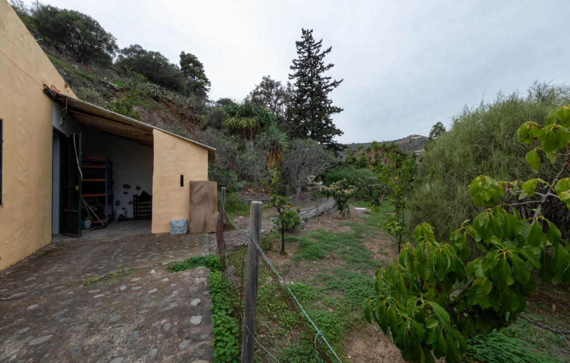 Venta - Casas o chalets - Telde - Lugar Lomo de la Gavia