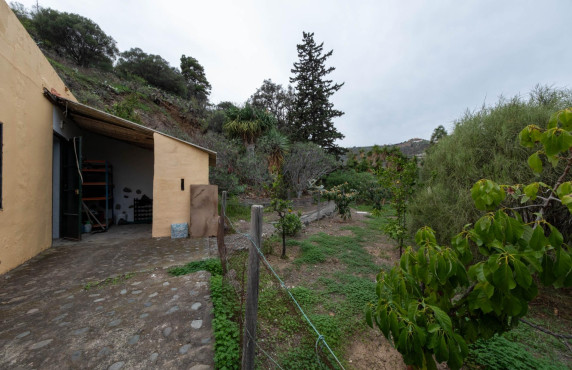 Venta - Casas o chalets - Telde - Lugar Lomo de la Gavia