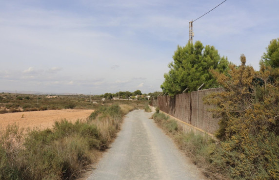 For Sale - Fincas y solares - Elche - Polígono 125 Parcela 44 BALSARES. ELCHE/ELX (ALIC