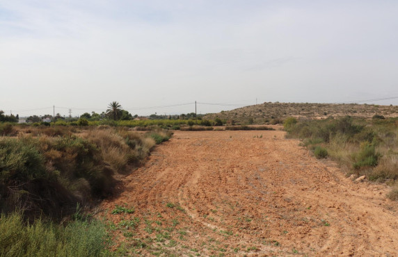 For Sale - Fincas y solares - Elche - Polígono 125 Parcela 44 BALSARES. ELCHE/ELX (ALIC