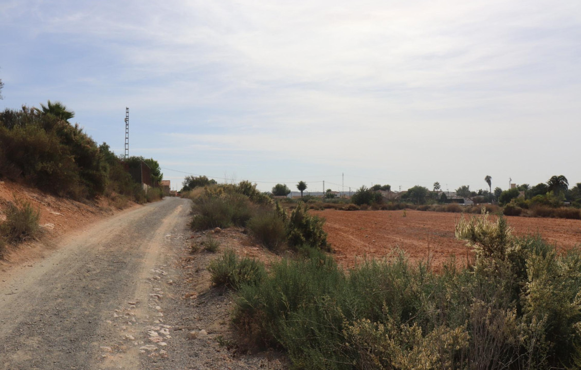 For Sale - Fincas y solares - Elche - Polígono 125 Parcela 44 BALSARES. ELCHE/ELX (ALIC