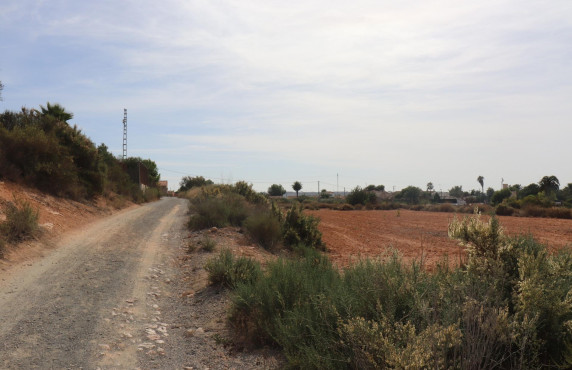 For Sale - Fincas y solares - Elche - Polígono 125 Parcela 44 BALSARES. ELCHE/ELX (ALIC