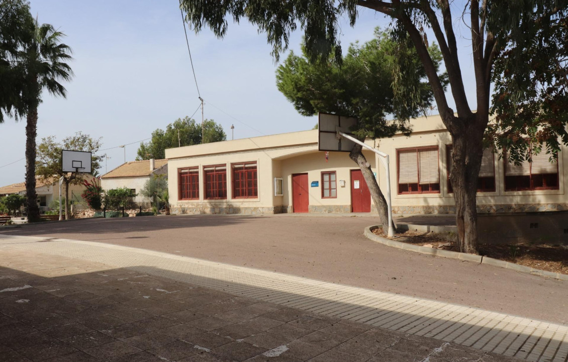 For Sale - Fincas y solares - Elche - Polígono 125 Parcela 44 BALSARES. ELCHE/ELX (ALIC