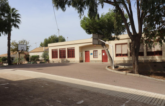 For Sale - Fincas y solares - Elche - Polígono 125 Parcela 44 BALSARES. ELCHE/ELX (ALIC