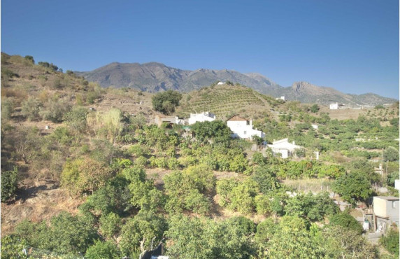 Venta - Casas o chalets - Canillas de Aceituno - Barriada Río Bermuza