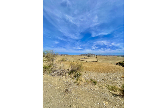 Venta - Fincas y solares - Cártama - Carretera de los Carril de la Loma