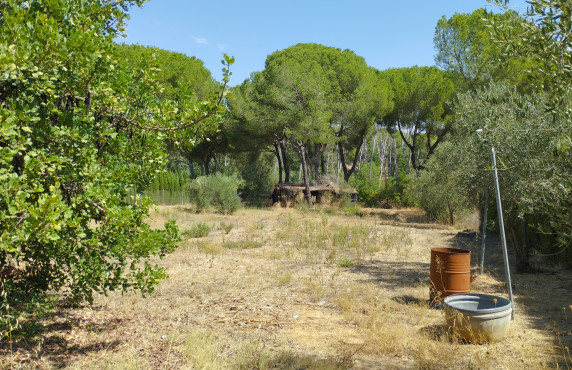 For Sale - Casas o chalets - Hinojos - Urbanización Entrepinos, Hinojos