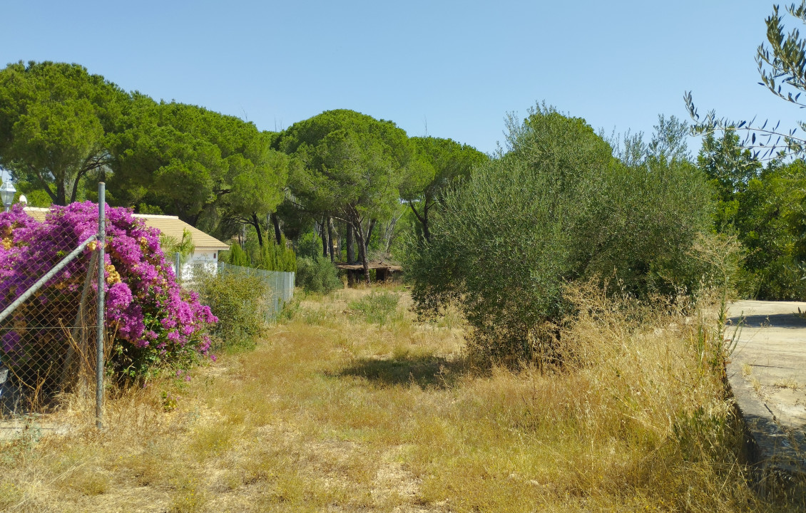 For Sale - Casas o chalets - Hinojos - Urbanización Entrepinos, Hinojos