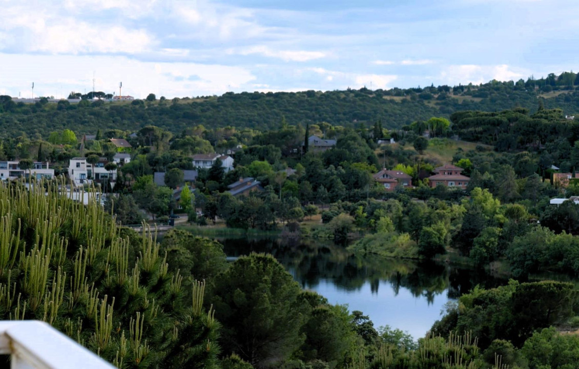 Venta - Casas o chalets - Torrelodones - MIRARROYO