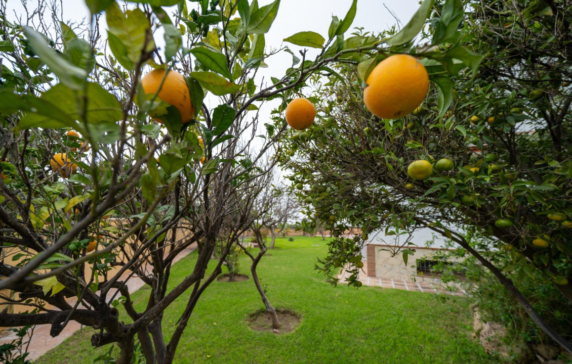 Venta - Casas o chalets - Las Lagunas de Mijas - Osunillas