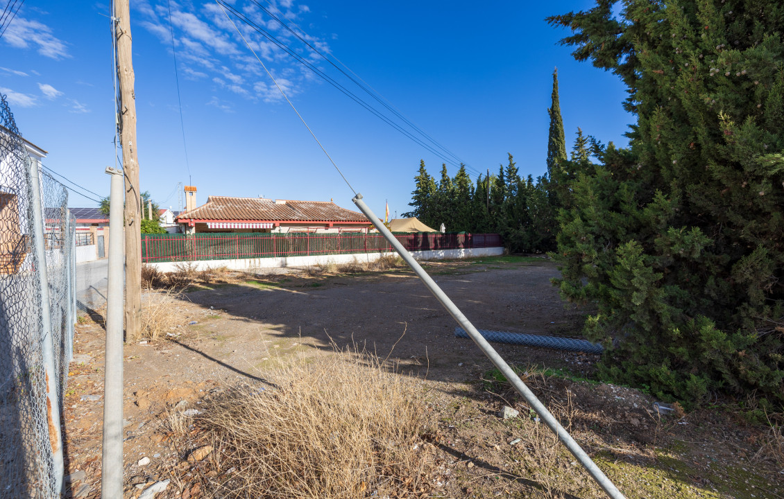 Venta - Fincas y solares - Ventas de Huelma - C. Cardenal Mendoza, 69