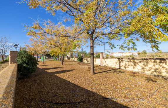 Venta - Fincas y solares - Ventas de Huelma - C. Cardenal Mendoza, 69