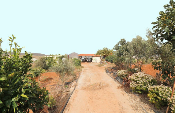 Venta - Fincas y solares - Santa María de Guía de Gran Canaria - Diseminado Paso María de los Santos