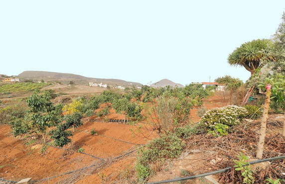 Venta - Fincas y solares - Santa María de Guía de Gran Canaria - Diseminado Paso María de los Santos