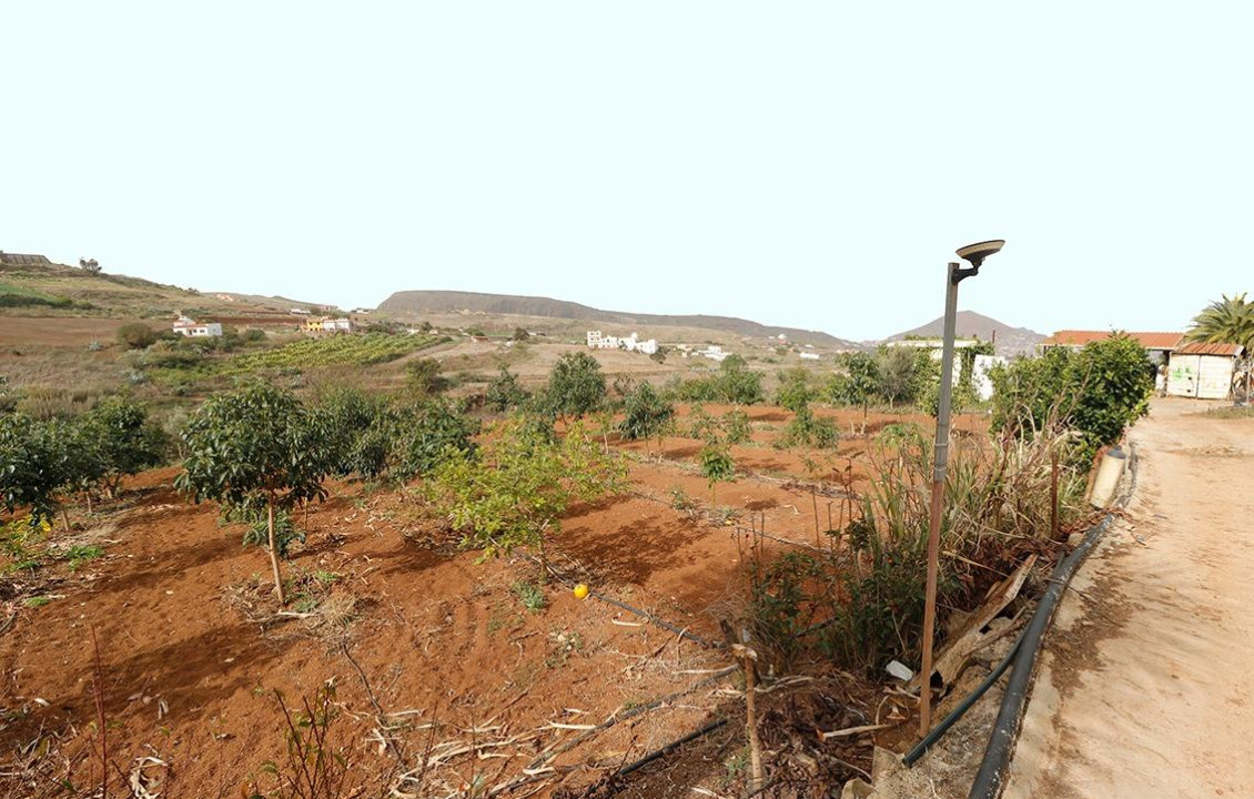 Venta - Fincas y solares - Santa María de Guía de Gran Canaria - Diseminado Paso María de los Santos