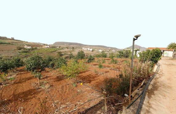 Venta - Fincas y solares - Santa María de Guía de Gran Canaria - Diseminado Paso María de los Santos