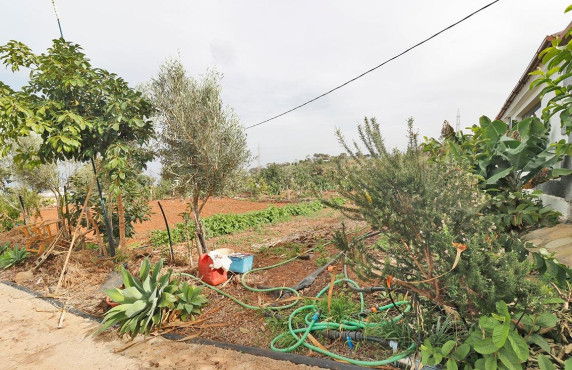 Venta - Fincas y solares - Santa María de Guía de Gran Canaria - Diseminado Paso María de los Santos