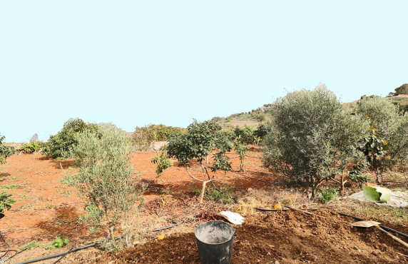 Venta - Fincas y solares - Santa María de Guía de Gran Canaria - Diseminado Paso María de los Santos