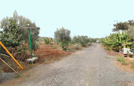 Venta - Fincas y solares - Santa María de Guía de Gran Canaria - Diseminado Paso María de los Santos