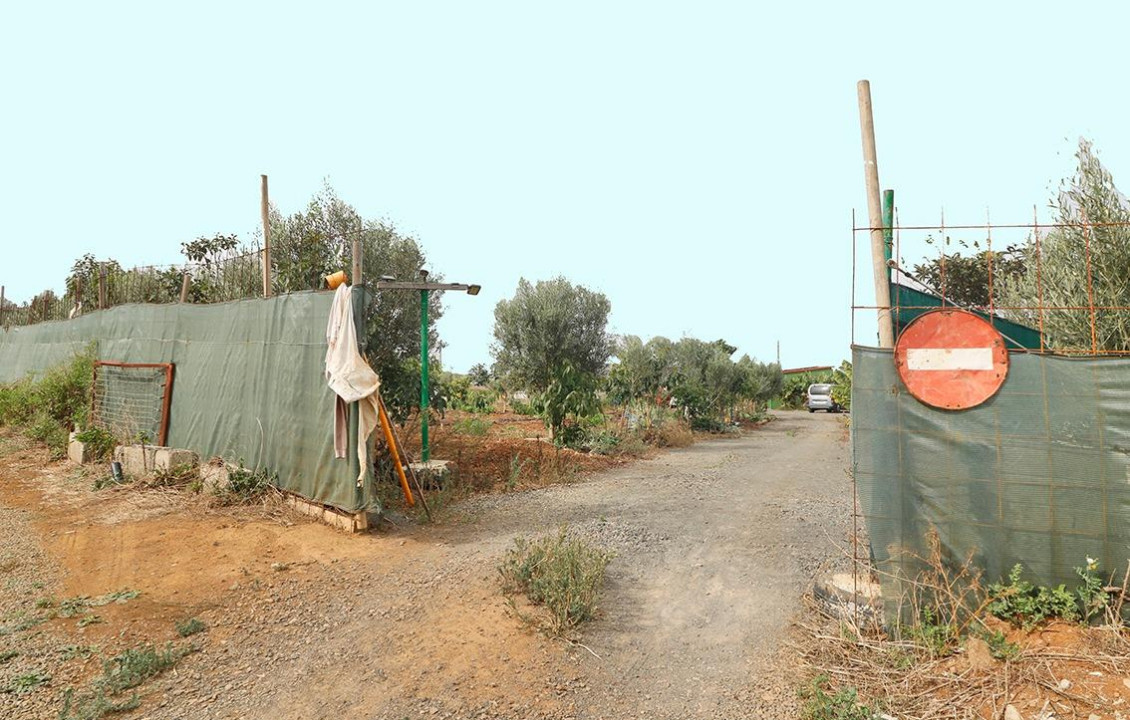 Venta - Fincas y solares - Santa María de Guía de Gran Canaria - Diseminado Paso María de los Santos