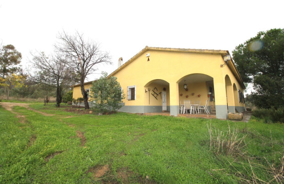 For Sale - Fincas y solares - La Estrella - LA PILITA