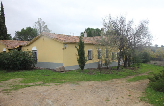 For Sale - Fincas y solares - La Estrella - LA PILITA