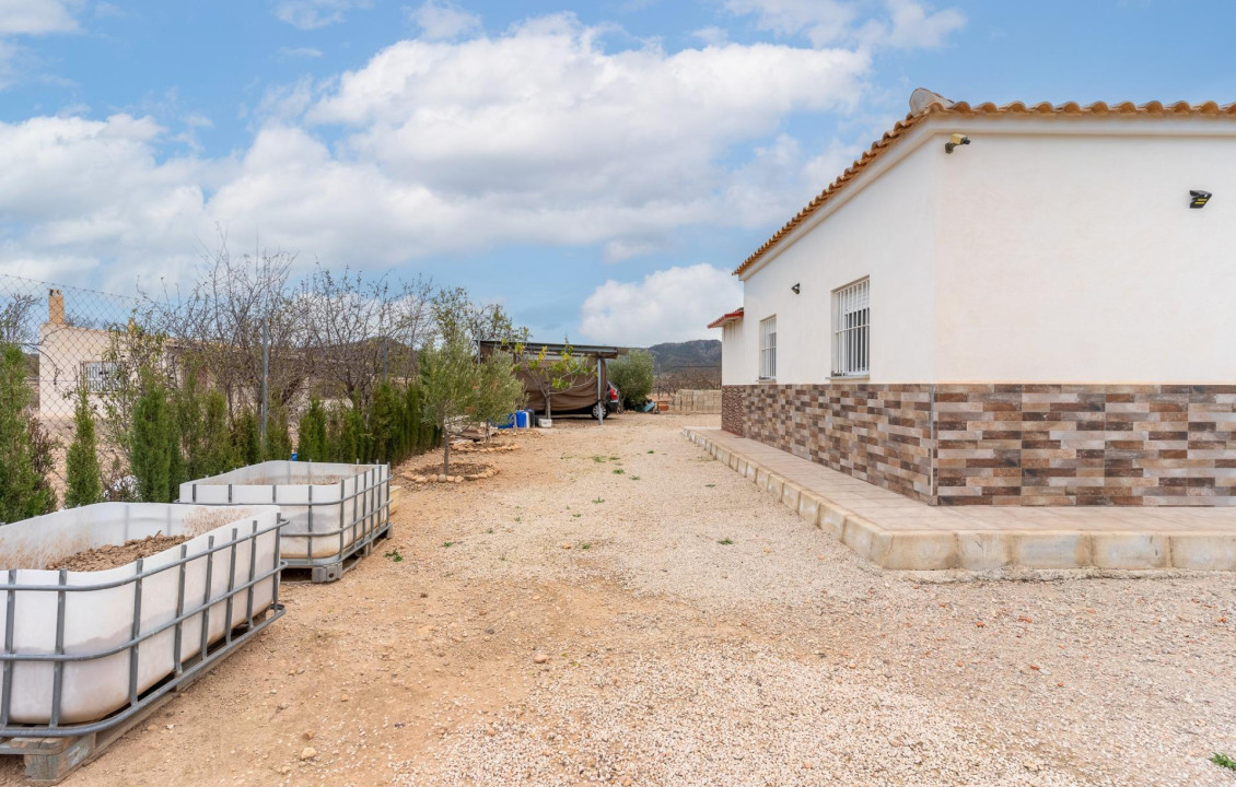 Venta - Casas o chalets - Ricote - Polígono 17 Parcela 11 BERRANDINO. RICOTE (MURCIA